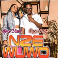 Nze Wuwo - Spice Diana (feat. Papa Cidy)