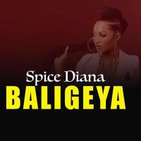 Baligeya - Spice Diana