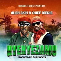 Nyenyezamu - Alien Skin, Chief Medie