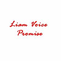 PROMISE - Liam Voice 