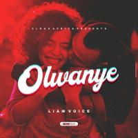 Olwanye - Liam Voice