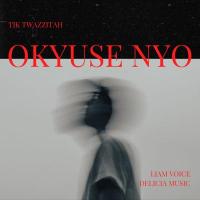 Okyuse Nyo - TIK Twazzitah (feat. Liam Voice, Delicia Music)