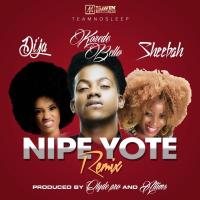 Nipe Yote (remix) - Sheebah