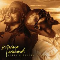 There She Go - Radio & Weasel