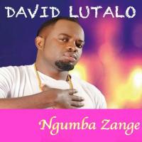 Nze Ani - David Lutalo