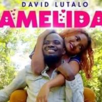 Amelida - David Lutalo