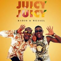 Turn Up - Radio & Weasel