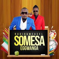 Somesa Egwanga - Radio & Weasel