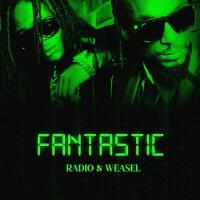 Obudde - Radio & Weasel