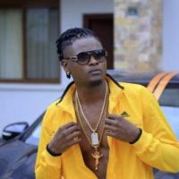 Gwavawa - Pallaso