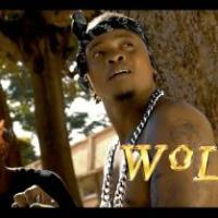 Wololo - Pallaso