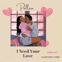 I Need Your Love - Pallaso