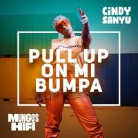 Pull up on Mi Bumpa - Cindy Sanyu ft. Mungo