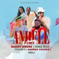 Andele (remix) - Daddy Andre