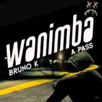 Wanimba - A Pass (feat. Bruno K)