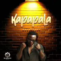 Kapapala - Geosteady