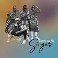 Sugar - B2C