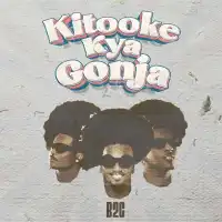 Kitooke Kyagonja (Special Version) - B2C