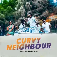 Curvy Neighbour - B2C