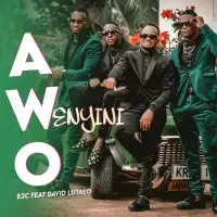 Awo - B2C (feat. David Lutalo)