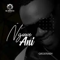 Nguwe Ani - Geosteady