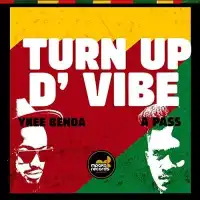 Turn Up The Vibe - Ykee Benda ft. Apass