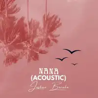 NANA (Acoustic) - Joshua Baraka 