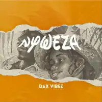 Nyweza - Dax Vibez