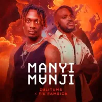 Manyi Mangi - Fik Fameica, Zuli Tums 