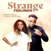 Strange Feelings - Herbert Skillz