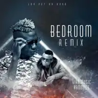 Bedroom Remix - Vian Music ft. Hamonize