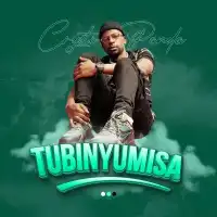 Tubinyumisa - Crysto Panda