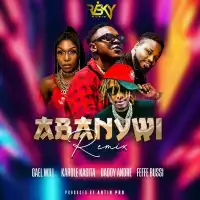 Abanywii (Remix) - Gael Will (feat. Karole Kasita, Daddy Andre, Feffe Bussi)