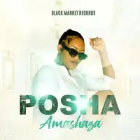 Amashaza - Posha