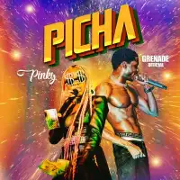 Picha - Pinky, Grenade Official