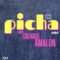 Picha (Remix) - Pinky, Grenade