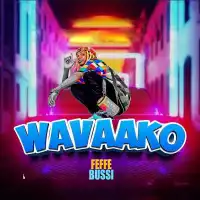 Wavako - Feffe Bussi 