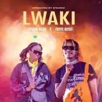 Lwaki - Sylvia Wase (feat. Feffe Bussi)