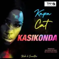 Kasikonda - Kapa Cat