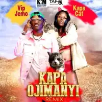 Kapa Ojimanyi (Remix ) - Kapa Cat (feat. VIP JEMO)