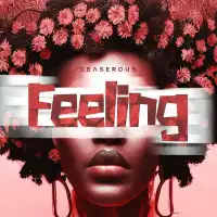 Feeling - Ceaserous