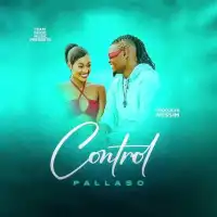 CONTROL - Pallaso