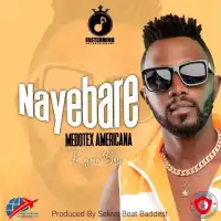 Nayebare - Medotex Americana