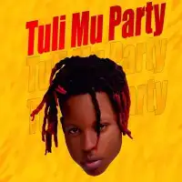 Tuli Mu Party - BB Zanda