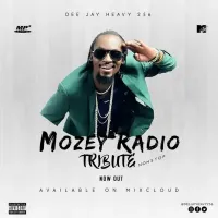 Best of Mowzey Radio & Weasel NonStop - Dj Heavy 256 