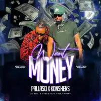 Want Money - Pallaso