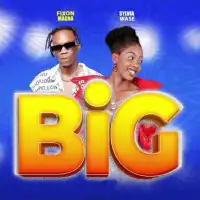 BIG - Sylvia Wase