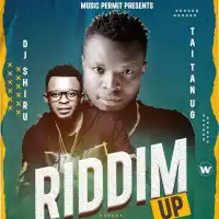 Riddim Up - DJ Shiru