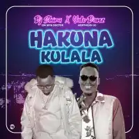 Hakuna Kulala - DJ Shiru