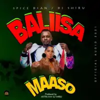 Balisa Maaso - DJ Shiru